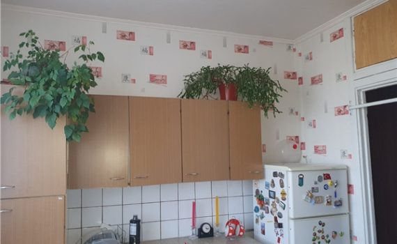 008147 * 3к.кв. на Салтовке
