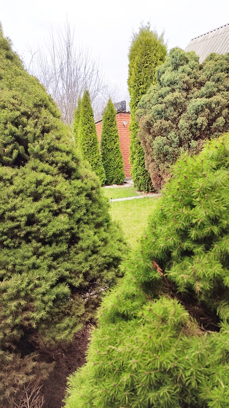 003221 (5) (1)